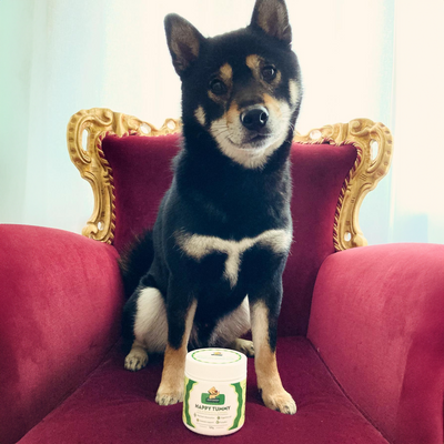 Dear Doggo