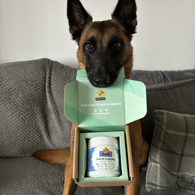 Dear Doggo