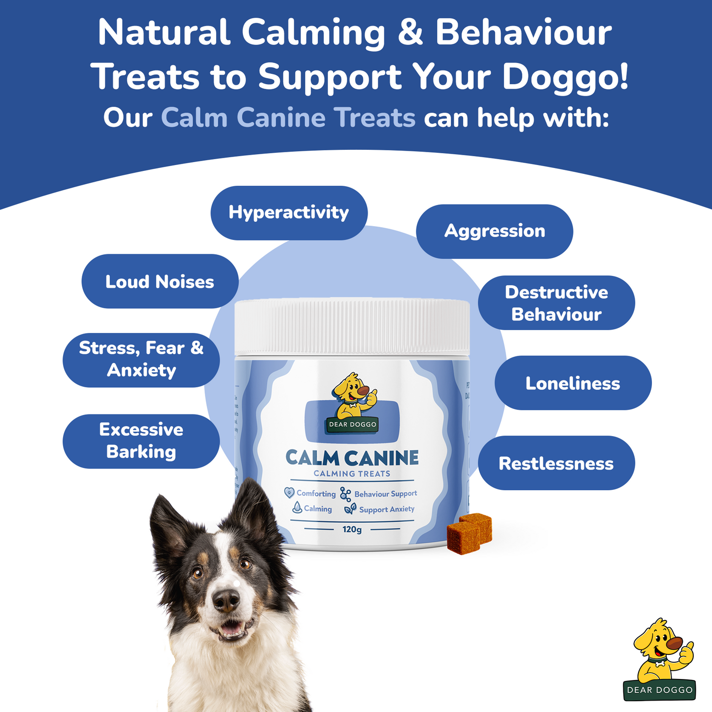 Daily Calming Chews