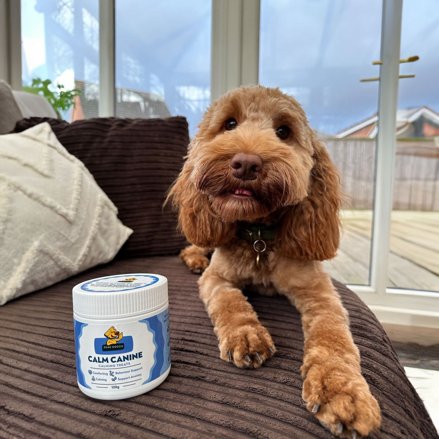 Daily Calming Chews