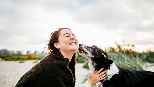 Unleash the Power of Supplements: Why Your Dog Deserves the Best