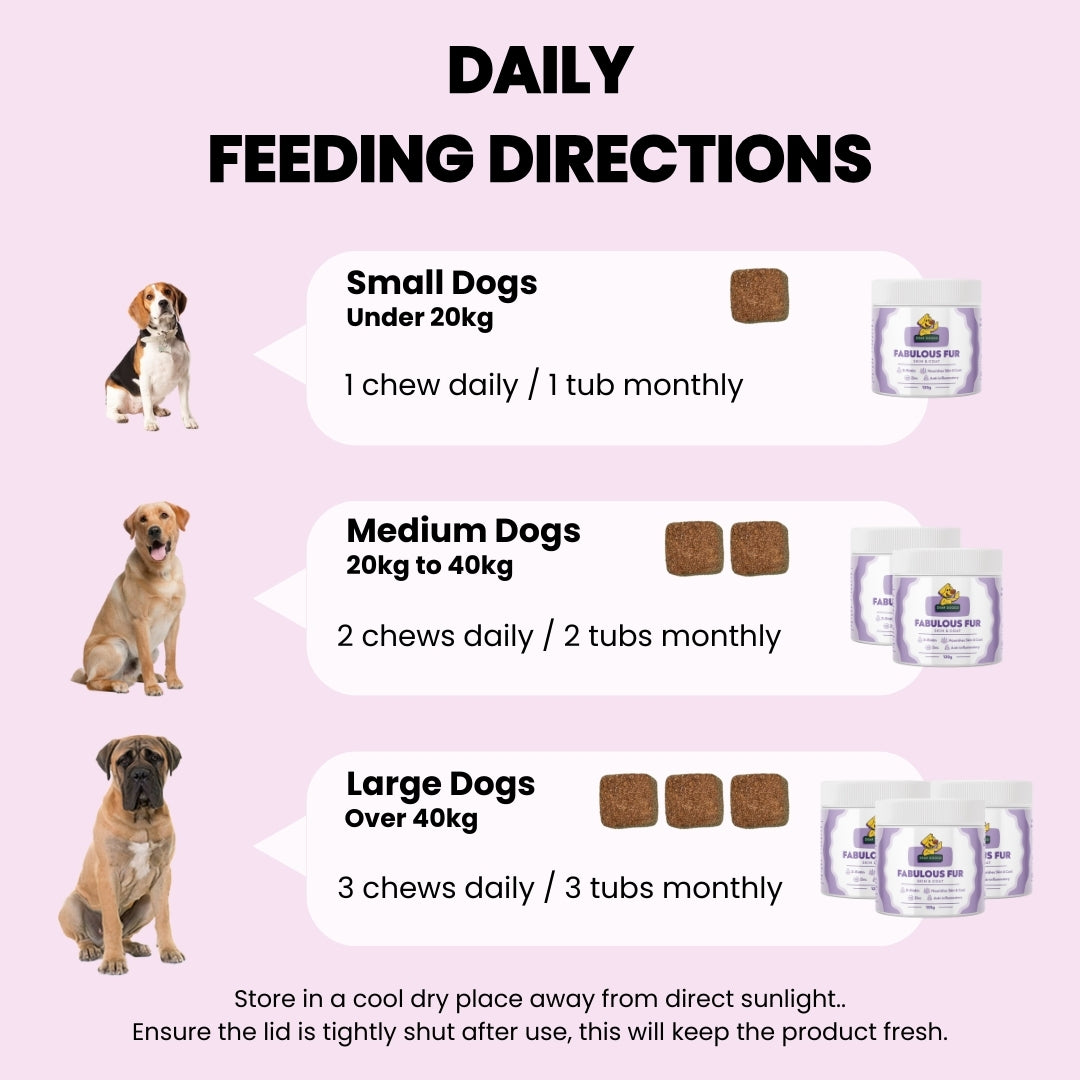 Daily Skin & Coat Chews