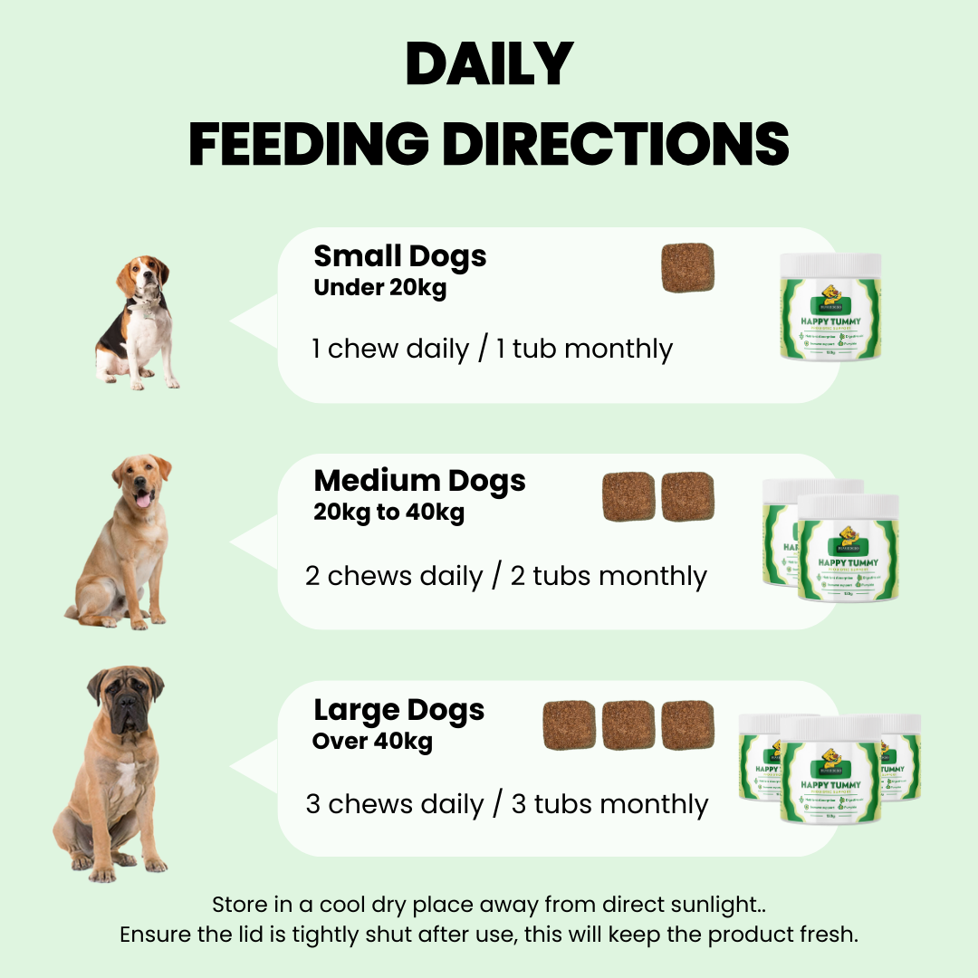 Daily Probiotic Chews