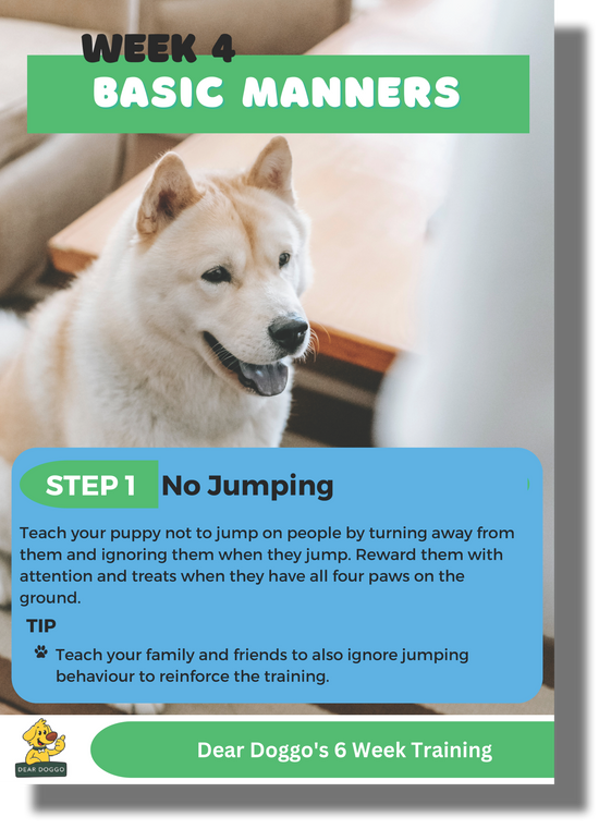 Dear Doggo