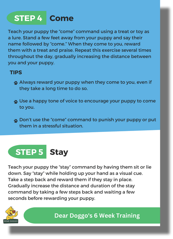Dear Doggo