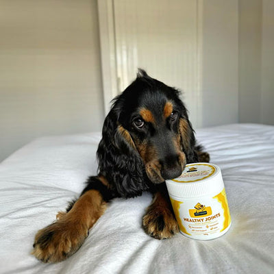 Doggo Daily Dear Doggo | Daily Joint Care Chews for Dogs