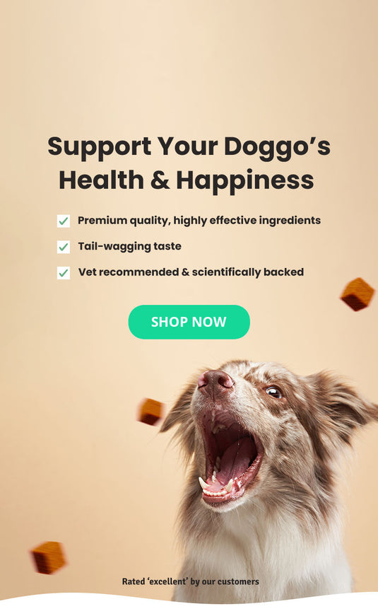 Targeted Supplement Chews for Healthy Happy Dogs – Dear Doggo