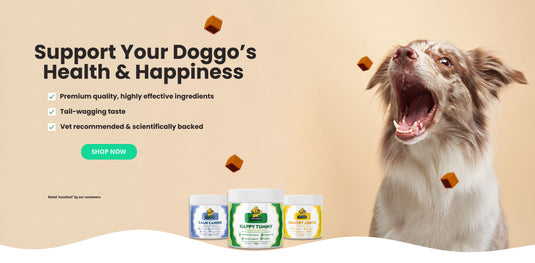 Targeted Supplement Chews for Healthy Happy Dogs – Dear Doggo