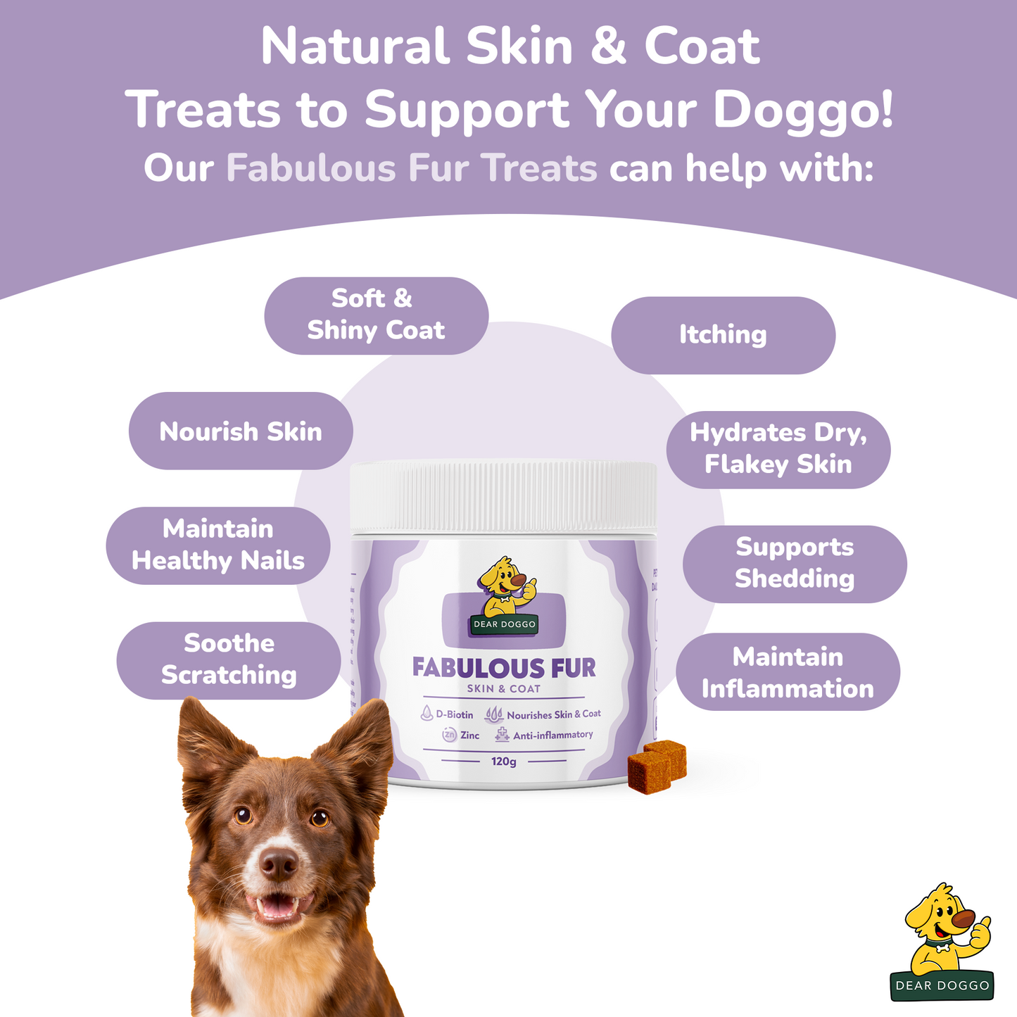 Daily Skin & Coat Chews
